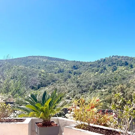 Contemporaine Bord De Villa Saint Aygulf